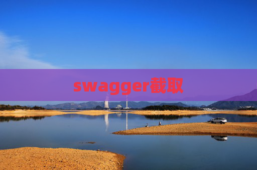 swagger截取
